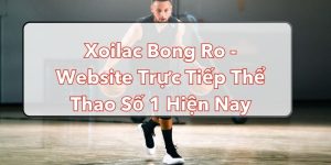 Xoilac Bong Ro - Website Trực Tiếp Thể Thao Số 1 Hiện Nay